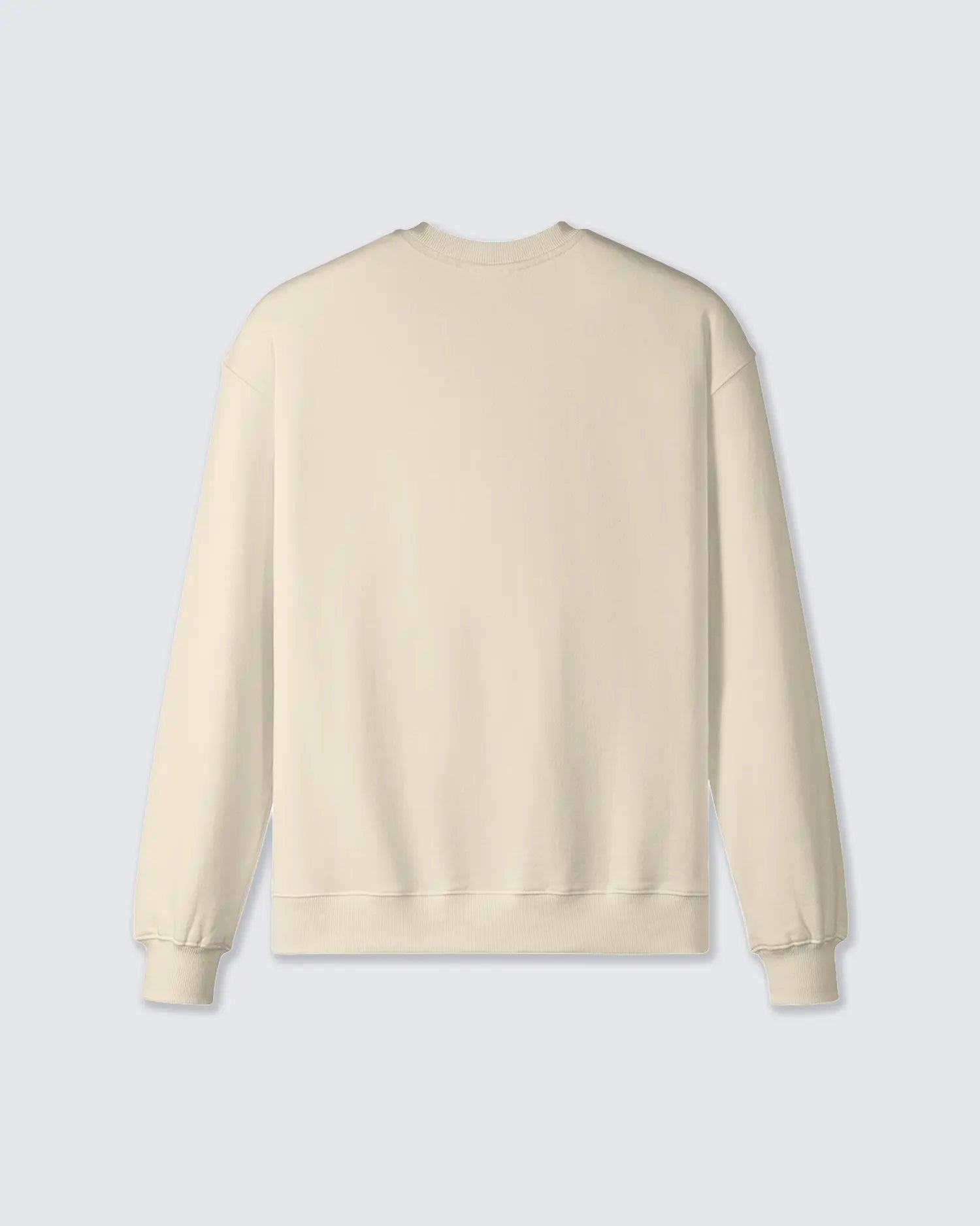 Beige sweatshirt on a light gray background option1_beige